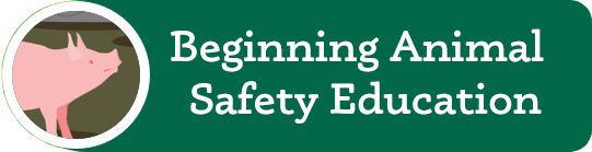 Beginning Animal Safety Education